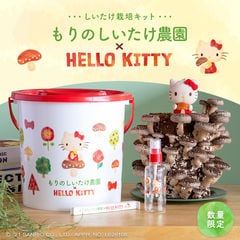 もりのしいたけ農園×HELLO KITTY| ハローキティ キティちゃん サンリオ きのこ きのこ栽培 キノコ栽培 しいたけ栽培キット しいたけ 椎茸 シイタケ 数量限定 室内 栽培キット 家庭菜園キノコ 野菜栽培キット 食育 子供 子ども 菌床 栽培セット キット