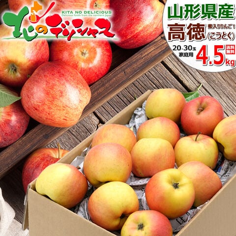 【2026 予約】 山形県産 ご家庭用 りんご 高徳 4.5kg (訳あり/20玉～30玉入り/常温) 旬 秋の味覚 こうとく りんご リンゴ 林檎 わけあり 訳あり ご自宅用 ご家庭用 人気 おすすめ お得 お買い得 果物 フルーツ 山形県 産地直送 グルメ お取り寄せ