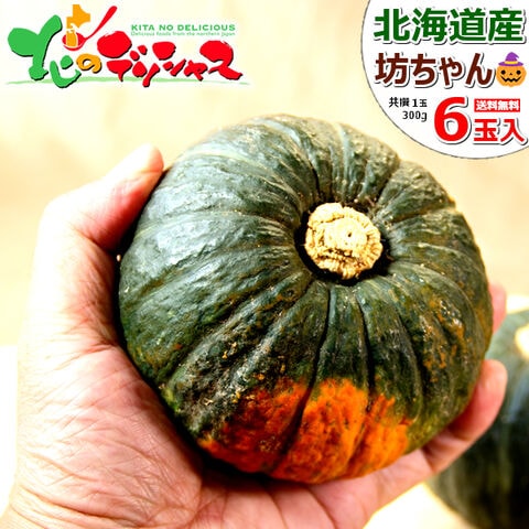 【出荷中】北海道産 坊ちゃんかぼちゃ 6玉入り(JA共選/1玉 約300g) 野菜 秋野菜 カボチャ 南瓜 坊ちゃん 坊ちゃん南瓜 パンプキン ハロウィン HALLOWEEN ギフト 贈り物 プレゼント 自宅用 家庭用 おうちグルメ 人気 食品 グルメ 北海道  お取り寄せ