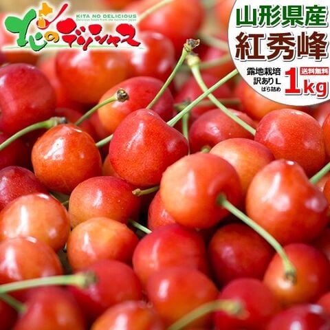 【2026 予約】 山形県産 ご家庭用 さくらんぼ 紅秀峰 1kg (露地/訳あり/Lサイズ/ばら詰め/クール便) お届け日時指定OK 旬 露地物 サクランボ 山形県 果物 フルーツ お取り寄せ