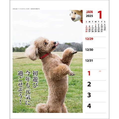 dショッピング |【送料無料】2026年 カレンダー プードル 川柳 週