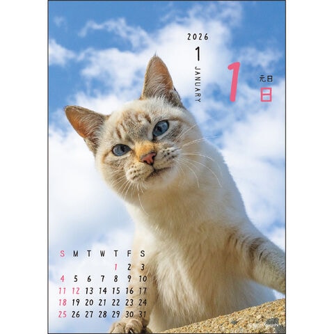 dショッピング |【送料無料】2026年 カレンダー 卓上 日めくり ニャン
