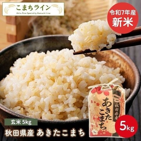 秋田県産 あきたこまち5kg 1袋