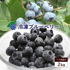 冷凍ブルーベリー 約2kg アイス ブルーベリー ベリー 冷凍果実 フルーツ 果物 くだもの 送料無料