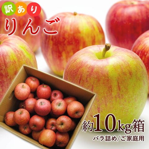 【12月上旬からご注文順次出荷】山形県産 訳あり サンふじりんご 約10kg バラ詰め サイズ/玉数未定 食べ放題の特盛り
