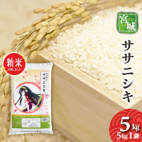 新米　宮城県産　ササニシキ　5kg　令和7年産　送料無料（一部地域除く）