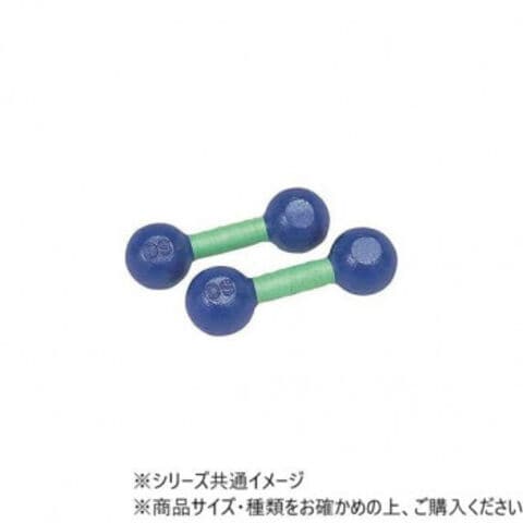 ダンノ(DANNO) 鉄アレー 1セット(2本1組) DANNO ダンノ 鉄アレイ 10kg