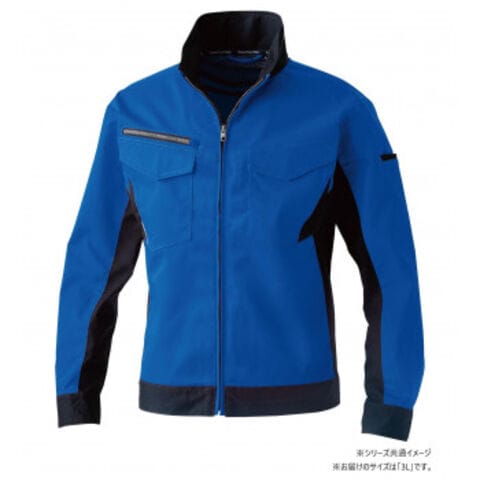 菊花石 梨地に糸菊 根尾 鑑賞石 水石 文化財級 小林宗閑箱書き