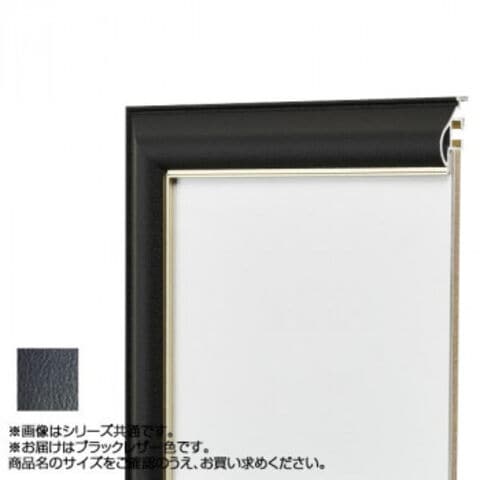 一般額(デッサン額) CF UVカット強化型アクリル付 /額縁内寸法:654×881(水彩M20)/大型A 時間指定・日祝配送不可 一般額(デッサン額) CF UVカット強化型アクリル付 &frasl;額縁内寸法:532×