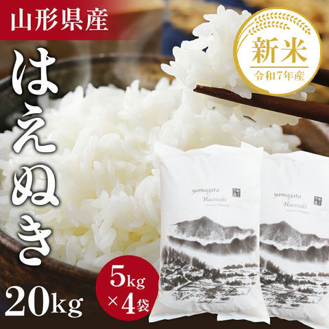 新米 山形県産 はえぬき 20kg 5kg×4袋
