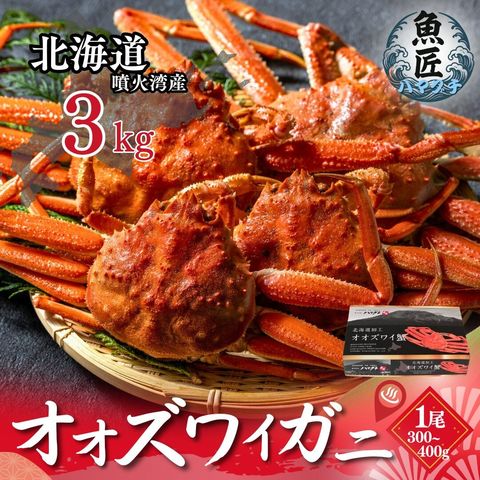 北海道産 オオズワイガニ3kg