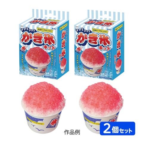 dショッピング |食品サンプルをつくろう!シャリシャリかき氷キット 2個