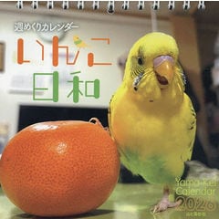 dショッピング |ネギ大事典 ネギ/ニラ/ワケギ/アサツキ/リーキ/やぐら