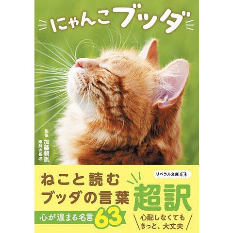 dショッピング |にゃんこブッダ/加藤朝胤 | カテゴリ：の販売できる