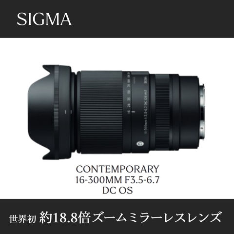 dショッピング |ケンコー高品質フィルターセット シグマ 16-300mm F3.5