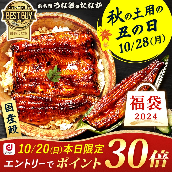 国産 うなぎ 一筋88年 浜名湖うなぎのたなか 老舗の味 鰻 ウナギ 蒲焼 うなぎ国産 鰻蒲焼き 数量限定 福袋 2024 海鮮 プレゼント 自宅用 敬老の日 【特大長蒲焼＋カット蒲焼計6枚セット】オマケ付 3～5人用 ※ご指定日にお届け