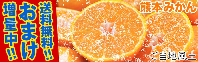 熊本みかん