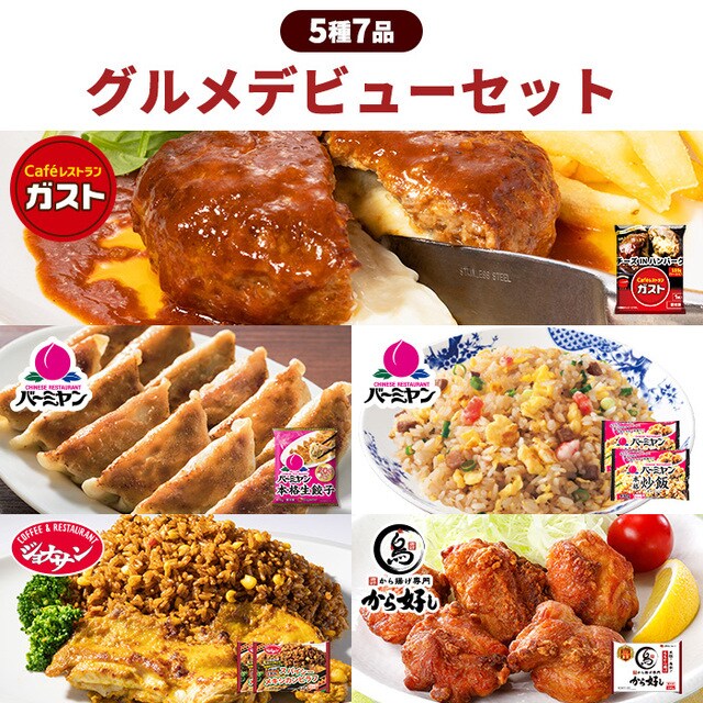 すかいらーくグルメデビューセット（5種7品） [本格炒飯2袋・メキシカンピラフ2袋・チーズインハンバーグ1個・本格生餃子1袋・ももから揚げ1袋]