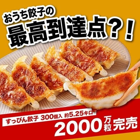 300個入り！味付き冷凍餃子大容量セット〈※北海道・沖縄・東北6県：追加送料必要〉