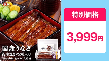 国産うなぎ蒲焼き140g前後×2尾セット