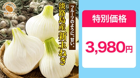 淡路島玉ねぎ【大玉サイズ】10キロ