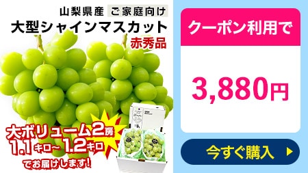 山梨県産 大房シャインマスカット ご家庭向け・赤秀品 1.1キロから1.2キロ前後（2房）