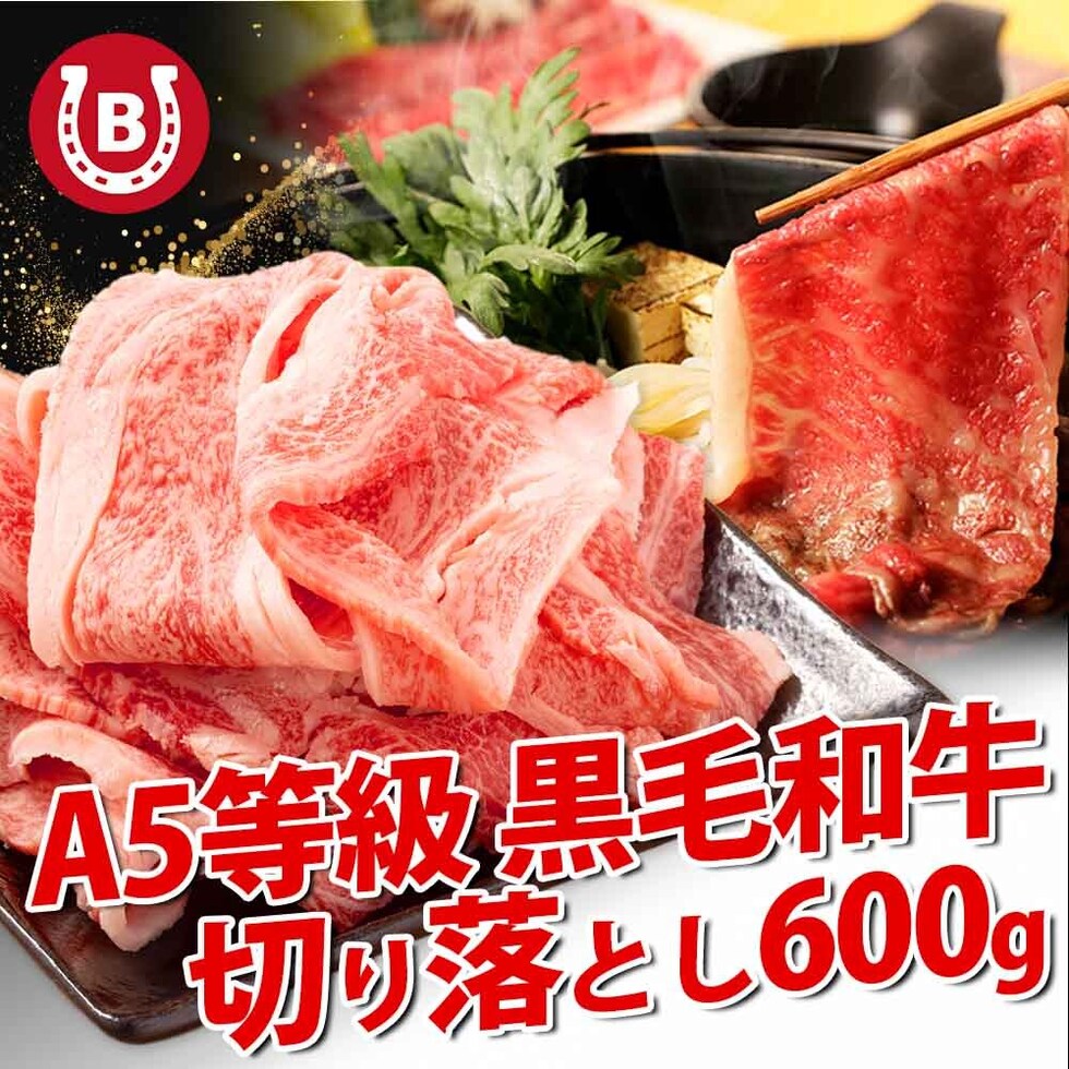 A5-A4等級 和牛 切り落とし 600g(200g×3)【限定価格！ 5990円 → 5001円 】牛肉 和牛 すきやき すき焼き 黒毛和牛 国産牛 すき焼き用 しゃぶしゃぶ肉 霜降り 薄切り 赤身 訳あり 冷凍 小分け すき焼き用牛肉