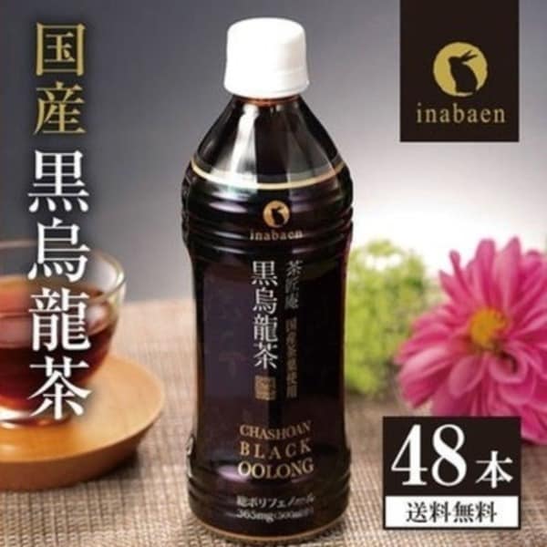 黒烏龍茶 茶匠庵 プレミアム国産黒烏龍茶 ペットボトル 2ケース 500ml×48本 送料無料 国産茶葉100% 国産 ウーロン茶 高ポリフェノール ギフト プレゼント ウーロン茶 お礼 茶匠庵 黒ウーロン茶 ポイント消化