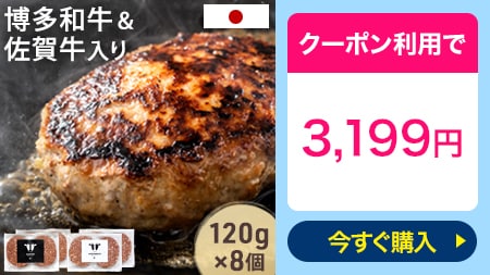 【国産 ハンバーグ 食べ比べ セット 佐賀牛 博多和牛 入り 120g 8個】
