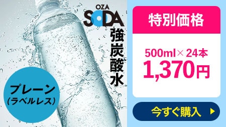 【プレーン】【ラベルレス選べる】 炭酸水 500ml 24本 強炭酸 炭酸 無糖