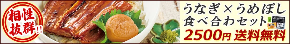 うなぎ×うめぼし食べ合わセット