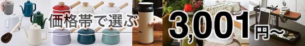 価格帯で選ぶ 3001〜