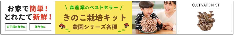 きのこ栽培キット