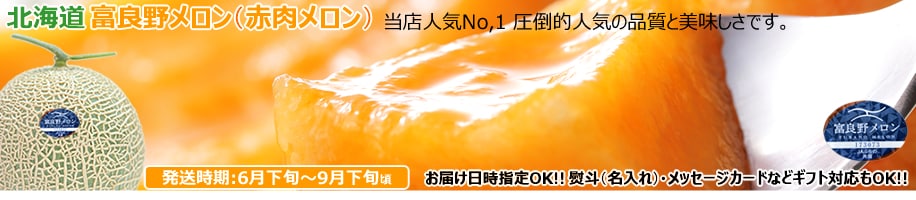 北海道産 メロン