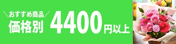 おすすめ商品 4,400円～