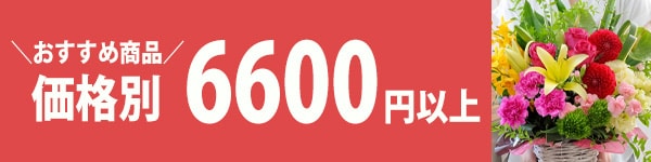 おすすめ商品 6,600円～