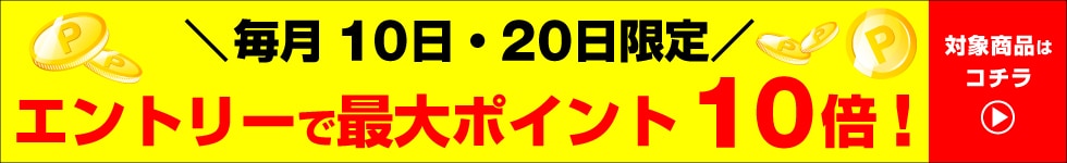 dsデーポイント10倍