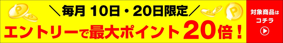 dsデー20倍