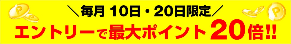 dsデー20倍