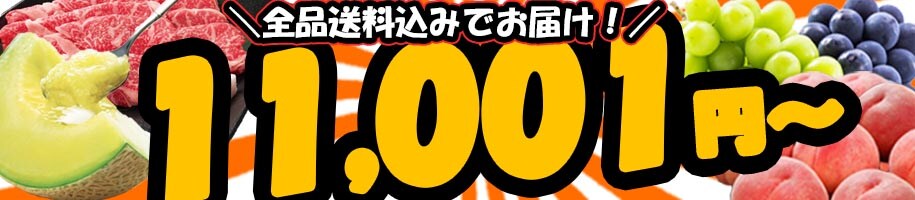 11001円