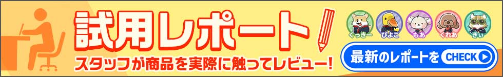 試用レポート