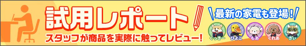 試用レポート