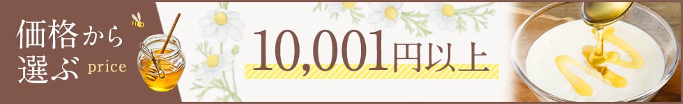 10,001円以上〜