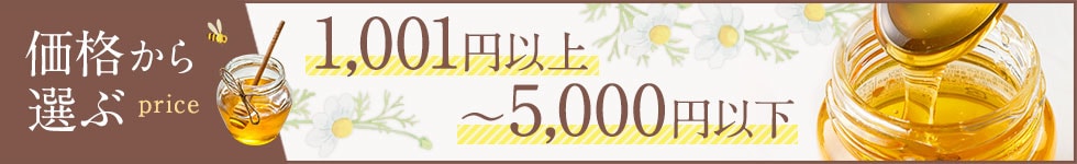 1,001円以上〜
