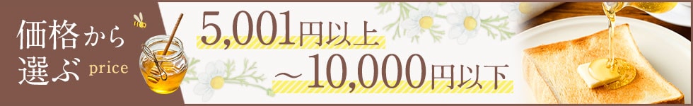 5,001円以上〜