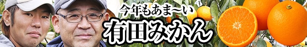 有田みかん