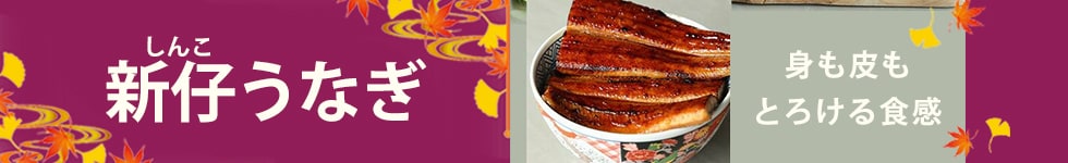 新仔うなぎ