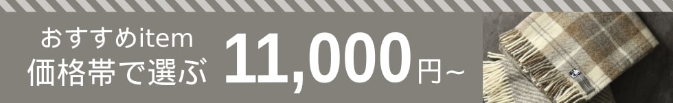 おすすめアイテム　価格帯で選ぶ　11,000円～