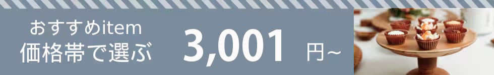 おすすめアイテム　価格帯で選ぶ　3,300円～