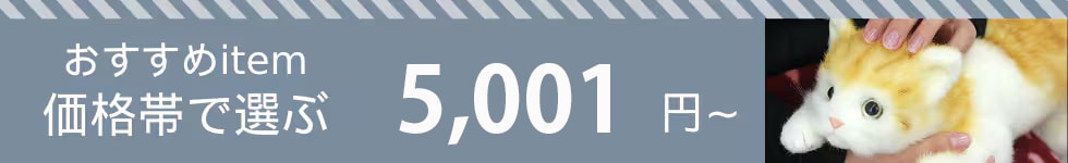 おすすめアイテム　価格帯で選ぶ　5,500円～